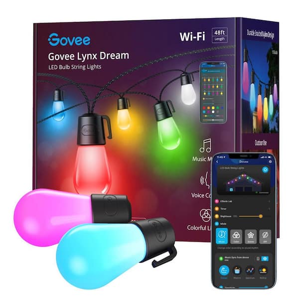 Govee Lynx Dream 48 ft. Outdoor Plug-In LED Input Smart Edison Bulb Wi-Fi  Enabled String Light (15-Bulbs) H7028AB1 - The Home Depot