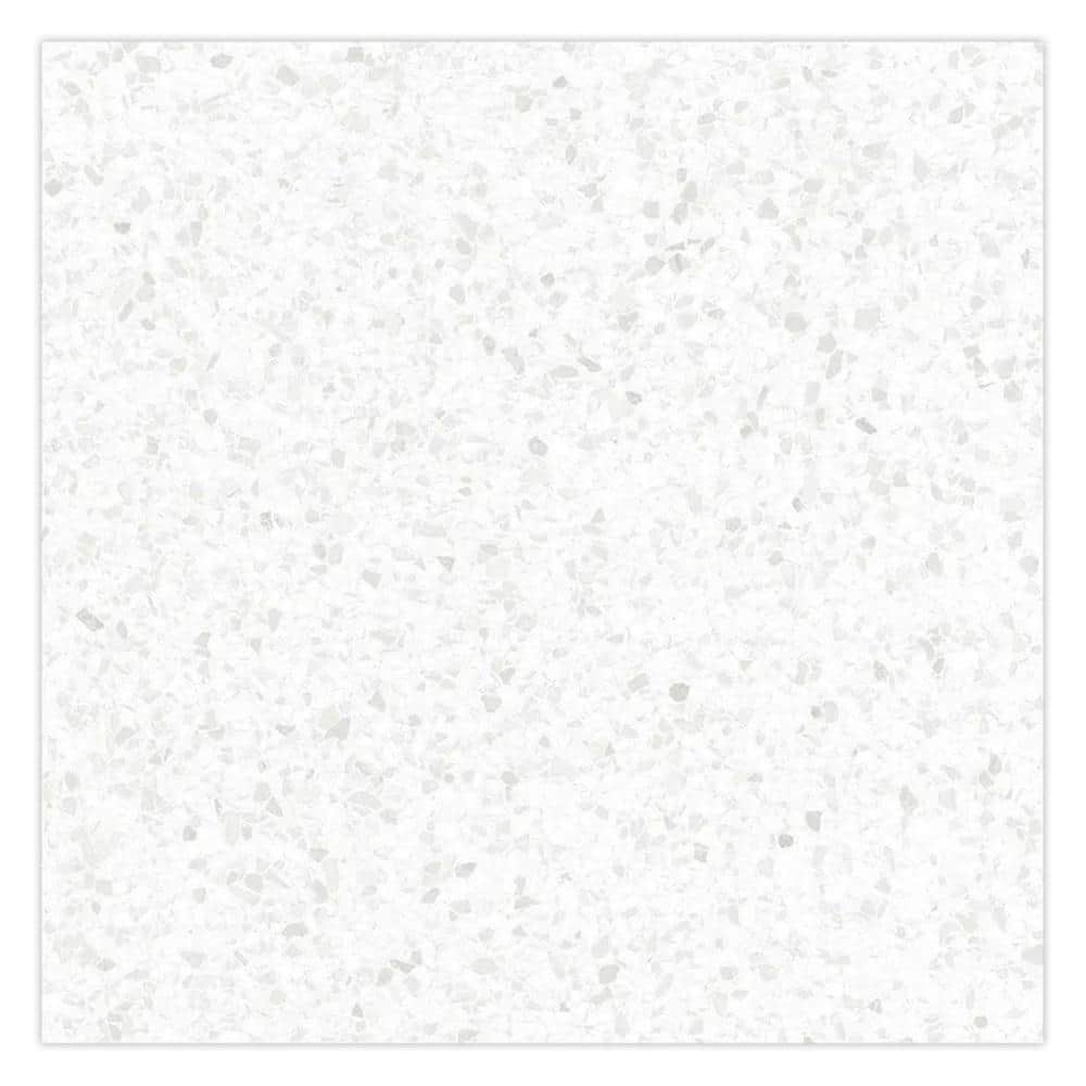 Terra Mia 4 in. x 5 in. Matte Bright White with Gray Flecks Porcelain Wall and Floor Tile Sample price history on PriceWatchPro