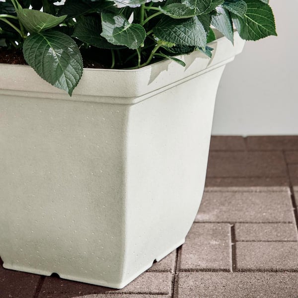 サンスベリ　マーシャンダ ホワイト Vigoro Franklin Large White Resin Lightweight Square Planter with