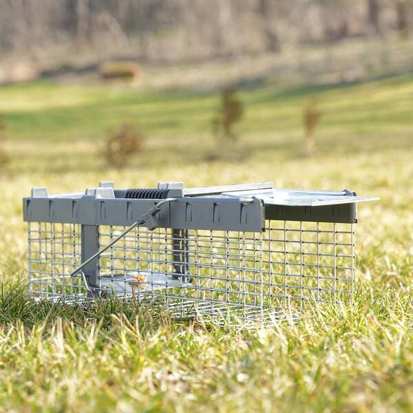 thumbnail image 2 of WCS 3x3 Square Body Grip Trap – Single Spring Conibear For Squirrel, Chipmunk, Weasel, Rat 2 of 5