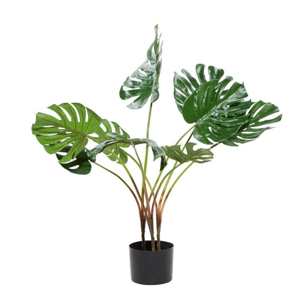 34" Green Plastic Potted Outdoor Monstera Plant