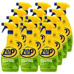 32 oz. Mold Stain and Mildew Stain Remover (12-Pack)