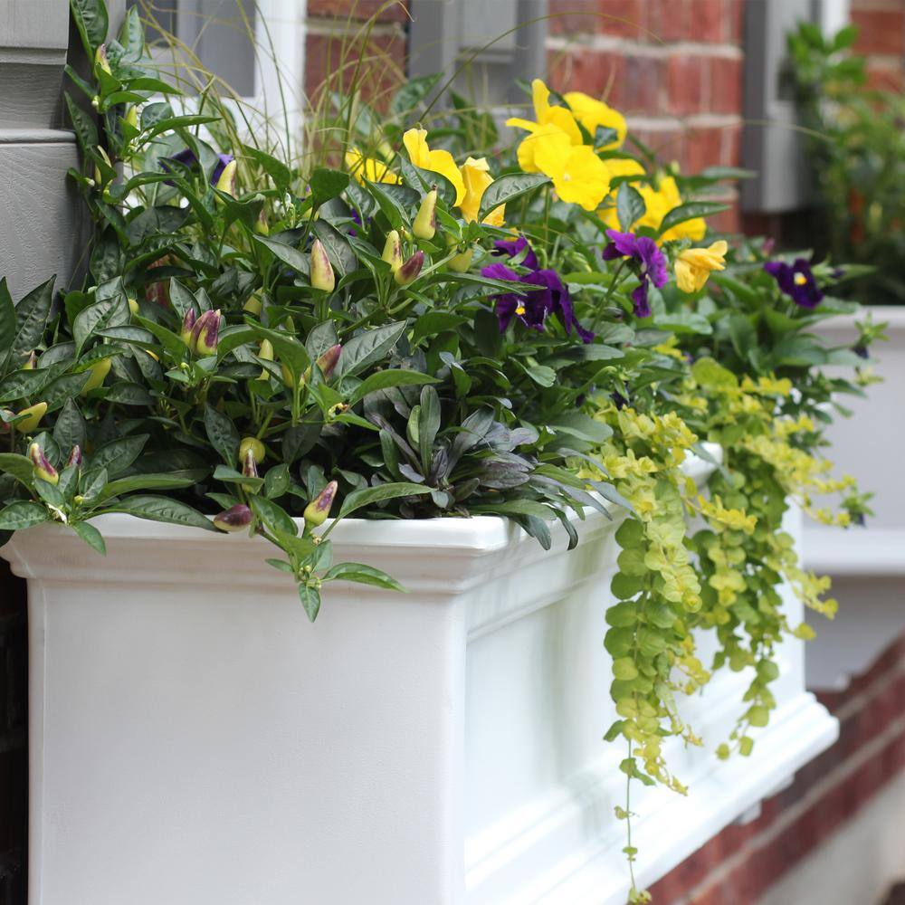 Fairfield White Polyethylene Self-Watering Window Box Planter