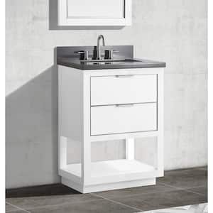 Allie 25 in. W x 22 in. D Bath Vanity in White with Silver Trim with Quartz Vanity Top in Gray with White Basin