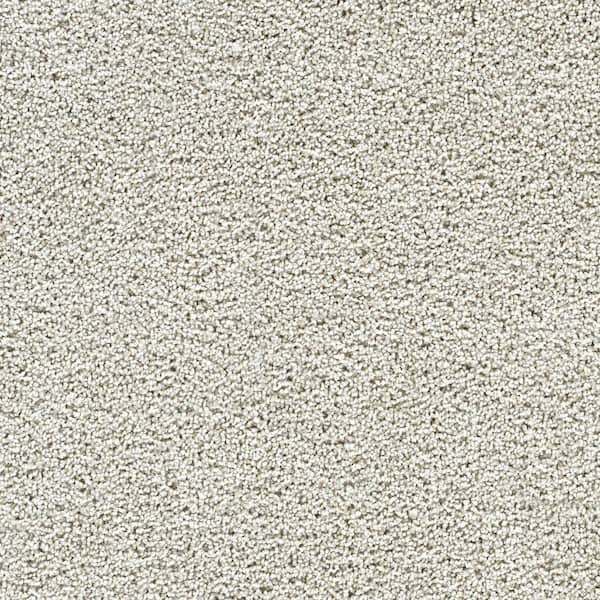 Friendship Fables-Gentle Beige-25 oz. SD Polyester Texture Carpet - Installation Required