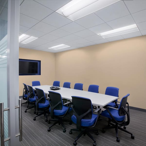 5 gal. #MQ2-21 Elemental Tan Dead Flat Interior Paint