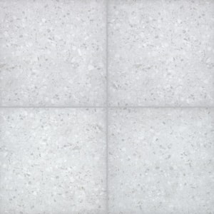 Terrazo Glacier 24 in. x 24 in. Matte Porcelain Paver Floor Tile (2-Pieces/8 sq. ft./Case)