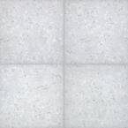 Terrazo Glacier 24 in. x 24 in. Square Matte Porcelain Paver Floor Tile (14-Pieces/56 sq. ft./Pallet)