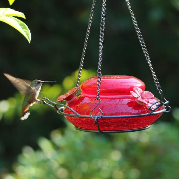 bottom fill hummingbird feeder