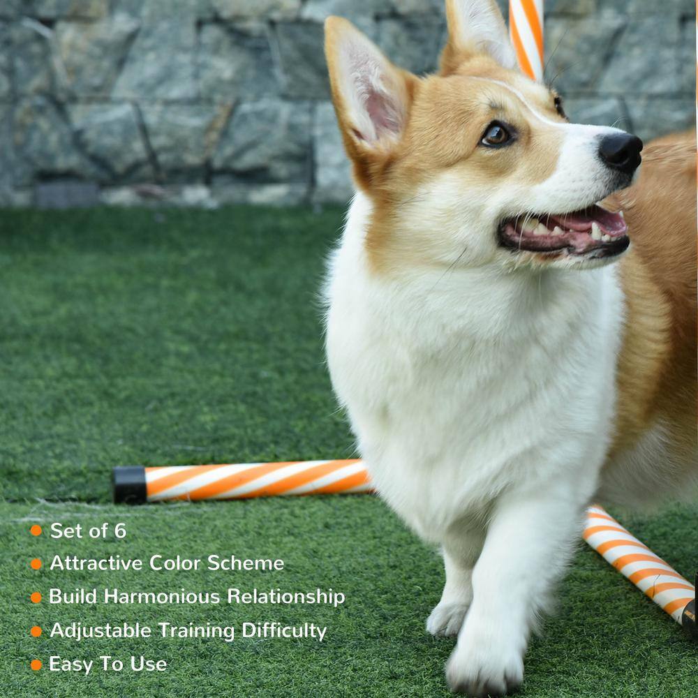 Adjustable Orange and White Dog Agility Training Set