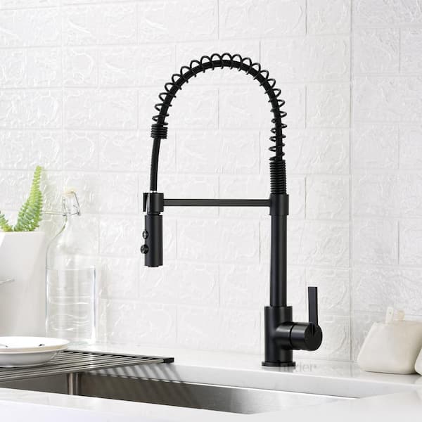 Single-Handle Pull-Down Sprayer Kitchen Faucet with 2-Function Sprayhead in Matte Black