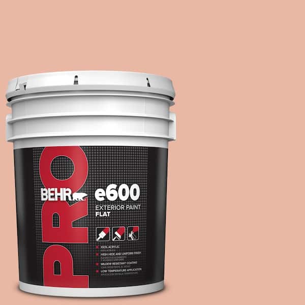 BEHR PRO 5 gal. #M190-3 Pink Abalone Exterior Flat Paint