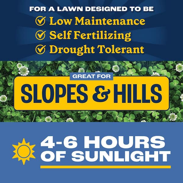 7 lbs. Clover and Grass Seed Mix