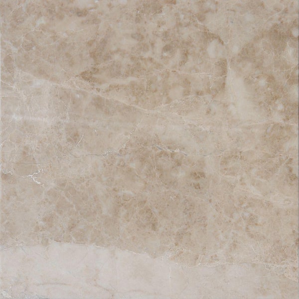 MSI Crema Cappuccino 12 in. x 12 in. Polished Marble Floor and Wall Tile (5 sq. ft. / case)