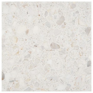 Terra Italia Calacatta 4 in. x 0.47 in. Honed Marble Terrazzo Floor and Wall Tile Sample