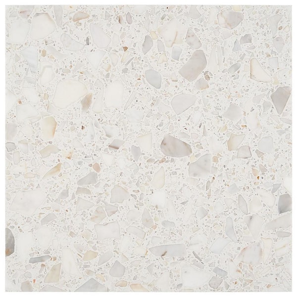 Ivy Hill Tile Terra Italia Calacatta 4 in. x 0.47 in. Honed Marble Terrazzo Floor and Wall Tile Sample