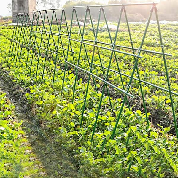 tobacco settlement amount State Expenditures for Tobacco-Control Programs and the Tobacco Settlement