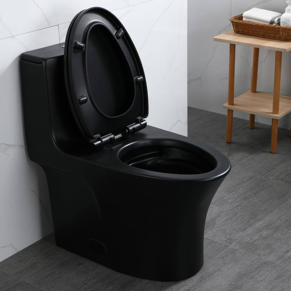 Matte Black Ceramic Dual Flush Elongated Toilet with Soft-Close Seat