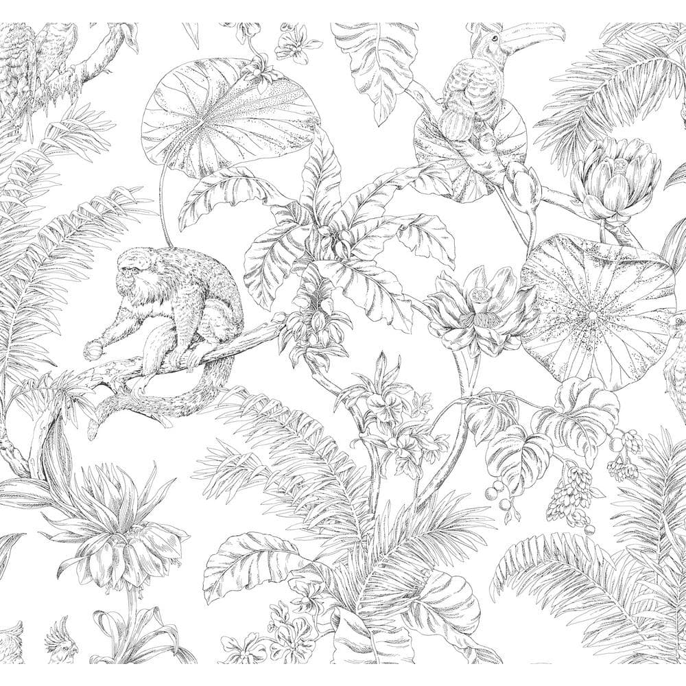 York Wallcoverings Tropical Sketch Toile Black Wallpaper Roll RT7841