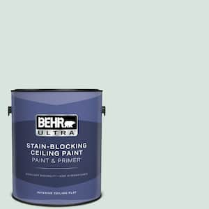 1 gal. #S420-1 New Day Ceiling Flat Interior Paint and Primer