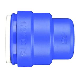 SpeedFit 1/2 in. Blue Plastic Push-to-Connect End Cap Fitting (10-Pack)