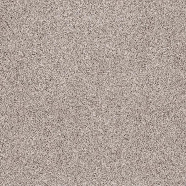 Lifeproof Sand Dunes I - Fallow Beige 53 oz. Nylon Texture Installed Carpet