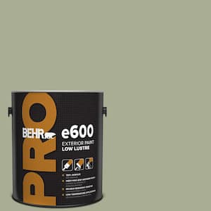 1 gal. #S380-4 Bay Water Low Luster Exterior Paint