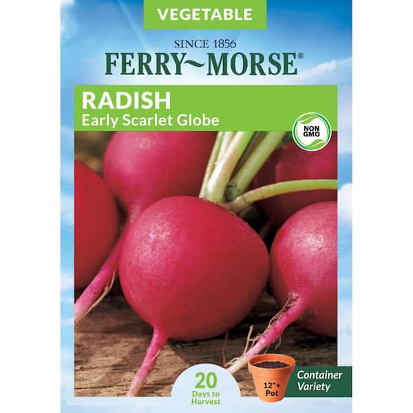 Ferry-Morse Radish Early Scarlet Globe Vegetable Seed