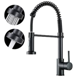 Single-Handle Pull Out Sprayer Coil Spring High-Arc Kitchen Faucet with Deckplate Sink Faucet in Matte Black
