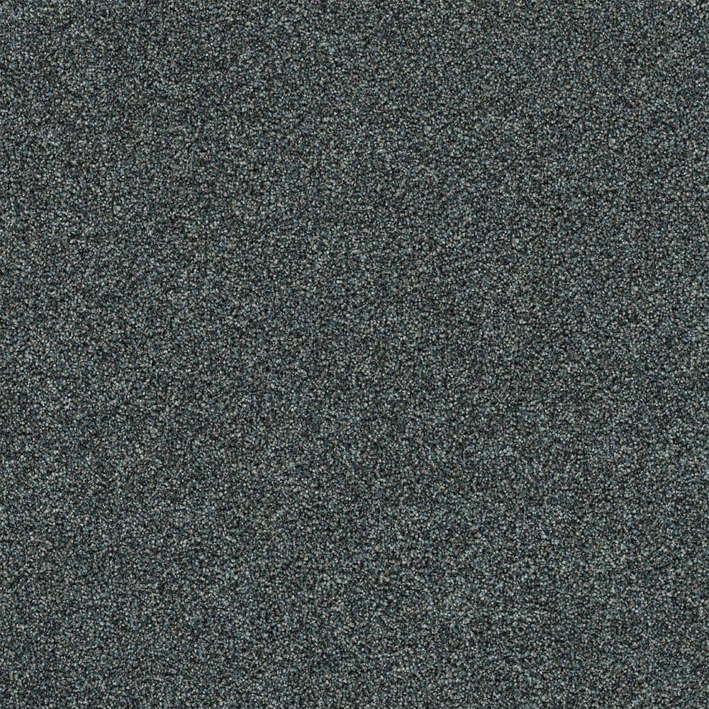 8 in. x 8 in. Texture Carpet Sample-Cinderella Soft I-Color Delicate price history on PriceWatchPro