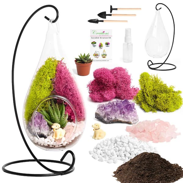 Creations by Nathalie DIY Terrarium Kit with Live Succulent, Glass Teardrop, Metal Stand, Reindeer Moss, Crystals, Rocks, Tools and Figurine