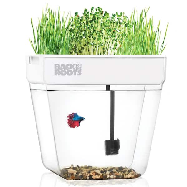 Back to the Roots Premium Acrylic Water Garden Fish Tank That Grows Food