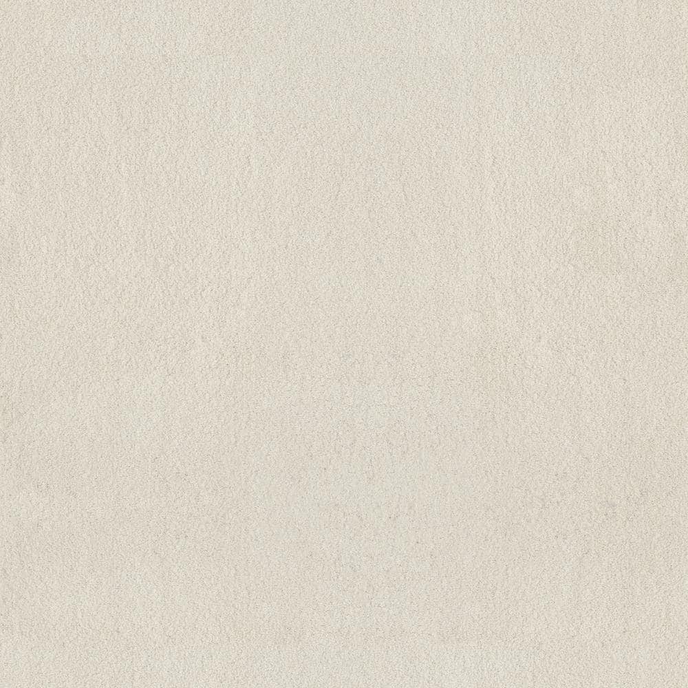 8 in. x 8 in. Texture Carpet Sample - Dreamy Daze II -Color Wren price history on PriceWatchPro