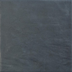 Passion Azul 8.86 in. x 8.86 in. Matte Porcelain Floor and Wall Tile (10.9 sq. ft./Case)
