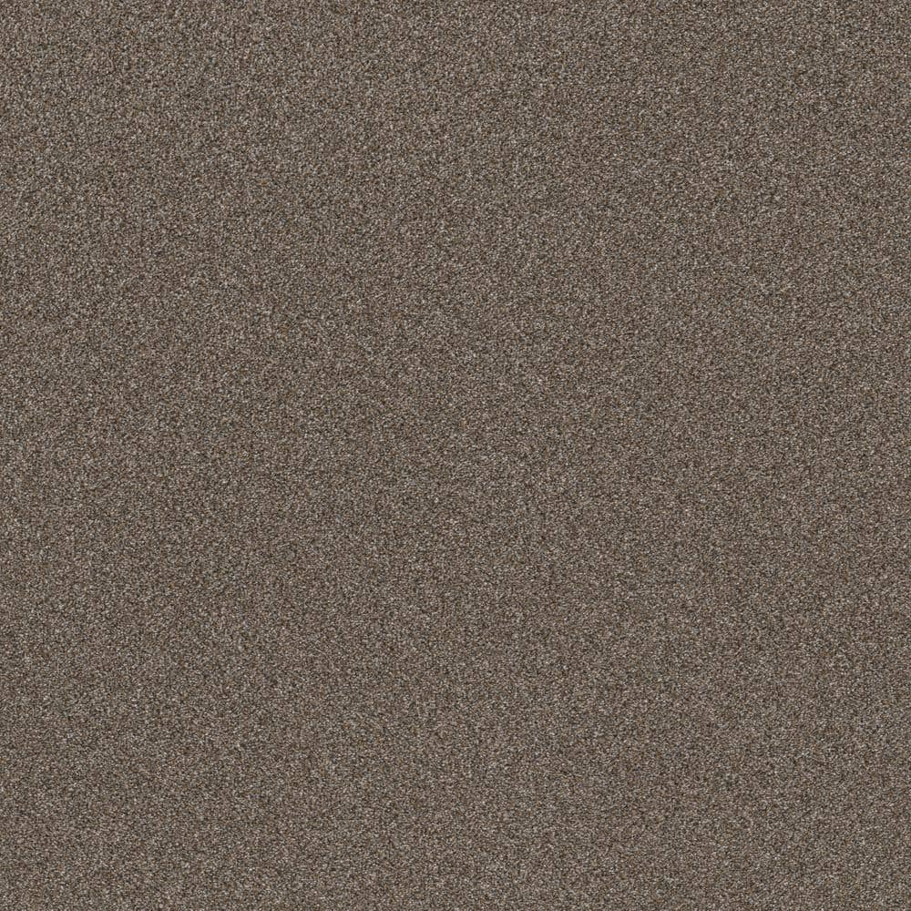 8 in x 8 in.  Texture Carpet Sample - Columbus I - Color Oxford price history on PriceWatchPro