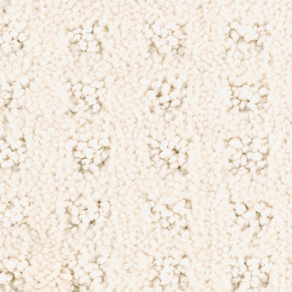 8 in. x 8 in. Texture Carpet Sample - Canter -Color Buffed price history on PriceWatchPro