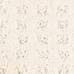 8 in. x 8 in. Texture Carpet Sample - Canter -Color Buffed