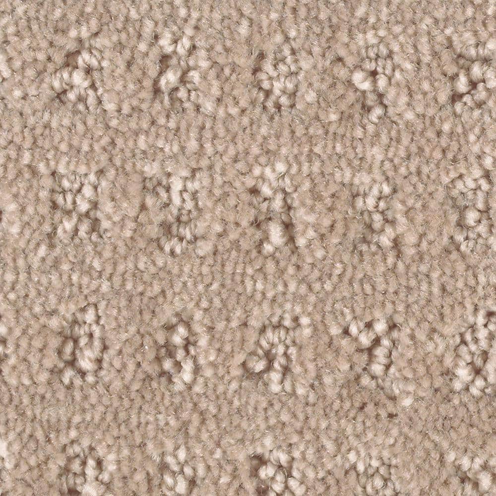 8 in. x 8 in. Texture Carpet Sample - Canter -Color Woodland price history on PriceWatchPro