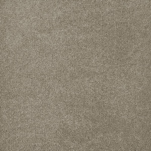 Chastain II - Kenlock - Beige 60 oz. SD Polyester Texture Installed Carpet