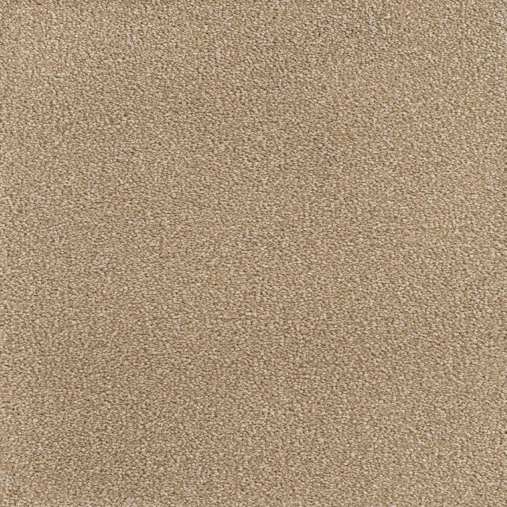 8 in. x  8 in. Texture Carpet Sample - Spicework I -Color City price history on PriceWatchPro