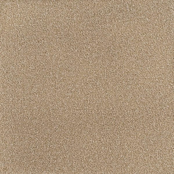 Home Decorators Collection 8 in. x  8 in. Texture Carpet Sample - Spicework I -Color City