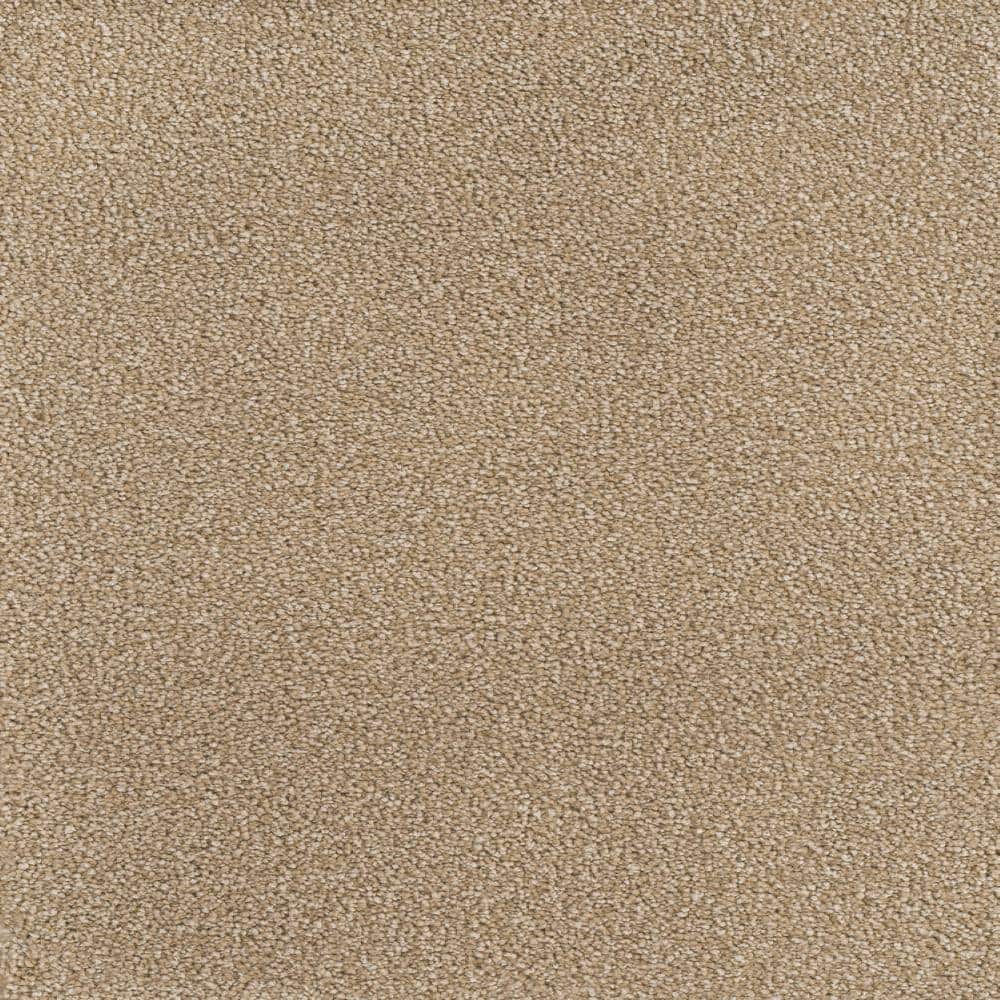 8 in. x  8 in. Texture Carpet Sample - Spicework II -Color City price history on PriceWatchPro