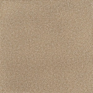 8 in. x  8 in. Texture Carpet Sample - Spicework II -Color City