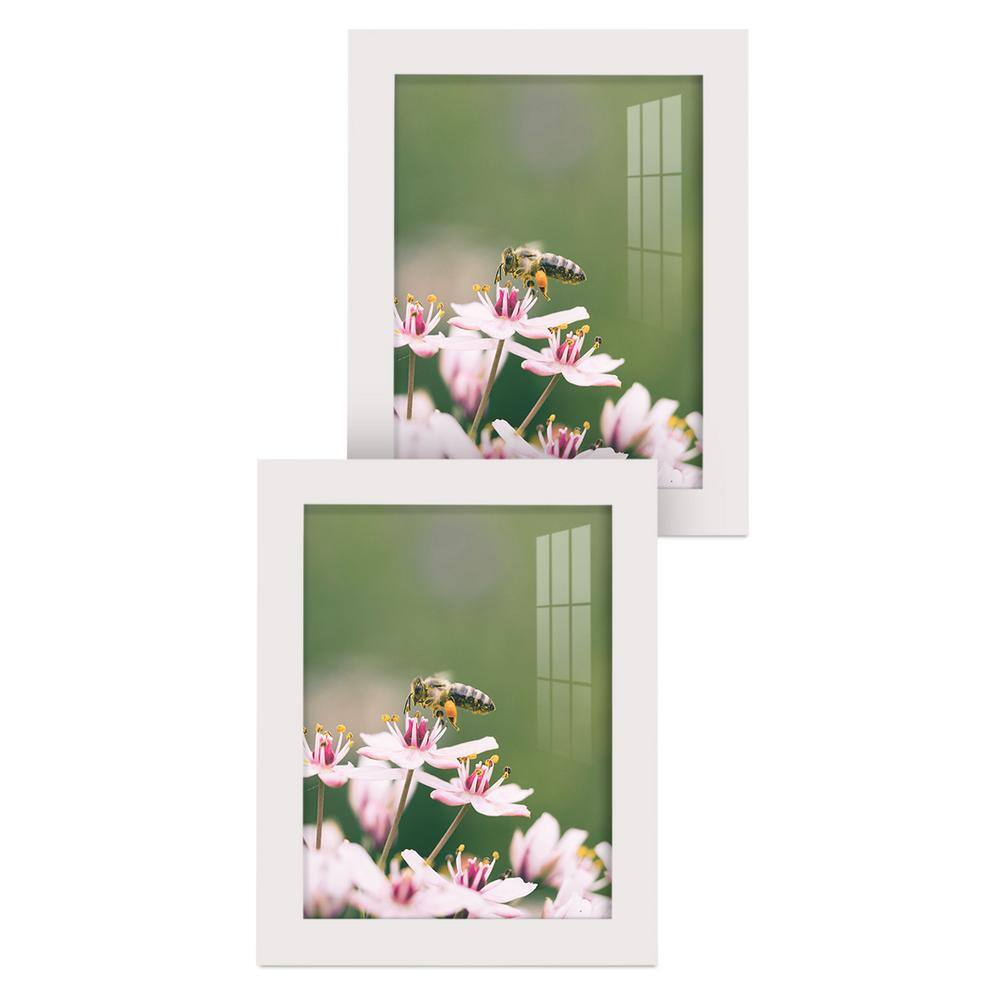 Wexford Home Modern 6 in. x 8 in. White Picture Frame (Set of 2) WF1104D2 The Home Depot