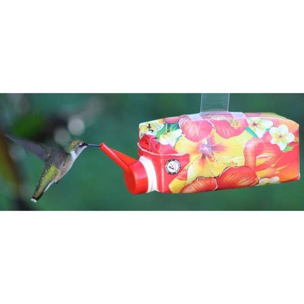 disposable bird feeder