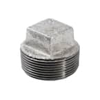 1-1/2 in. Galvanized Malleable Iron Plug Fitting
