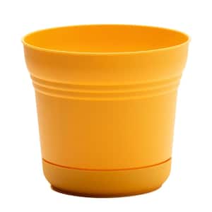 Saturn 10 in. x 8.5 Earthy Yellow Plastic Planter with Saucer