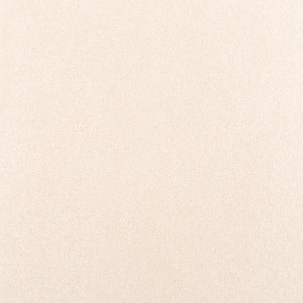 Lifeproof with Petproof Technology Waking Up I Sunrise Beige 37 oz. Triexta Textured Installed Carpet