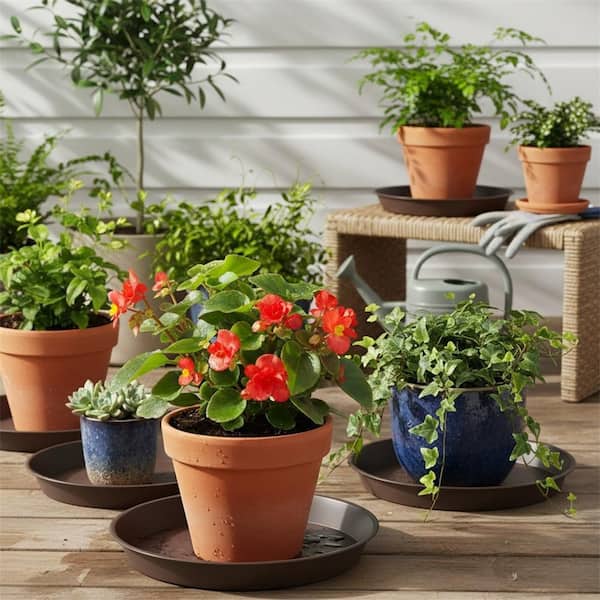 4 Pack of Plastic Plant Saucers 14 inch YNLIN373 - The Home Depot