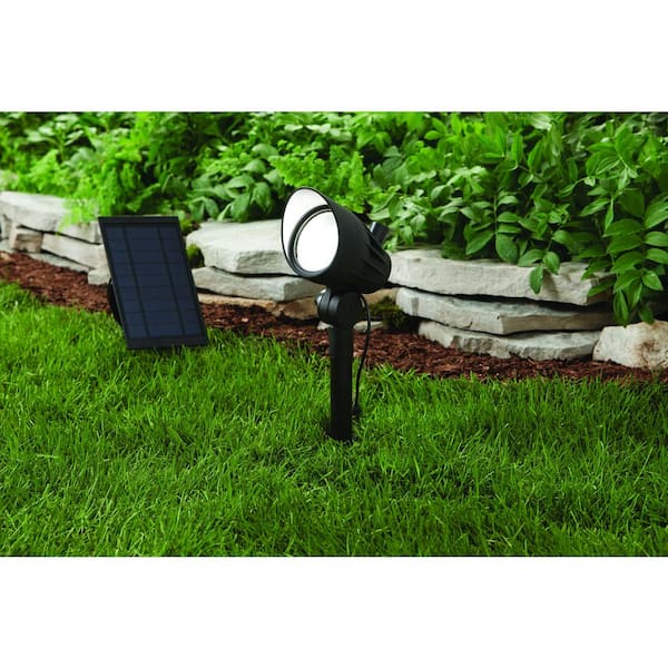 Hampton Bay 100 Lumen Black LED Outdoor Solar Metal Spotlight with with Adjustable Lamp Head